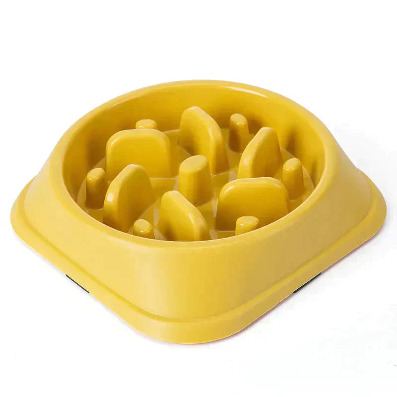 Pet Slow Feeder Bowl Petritzy