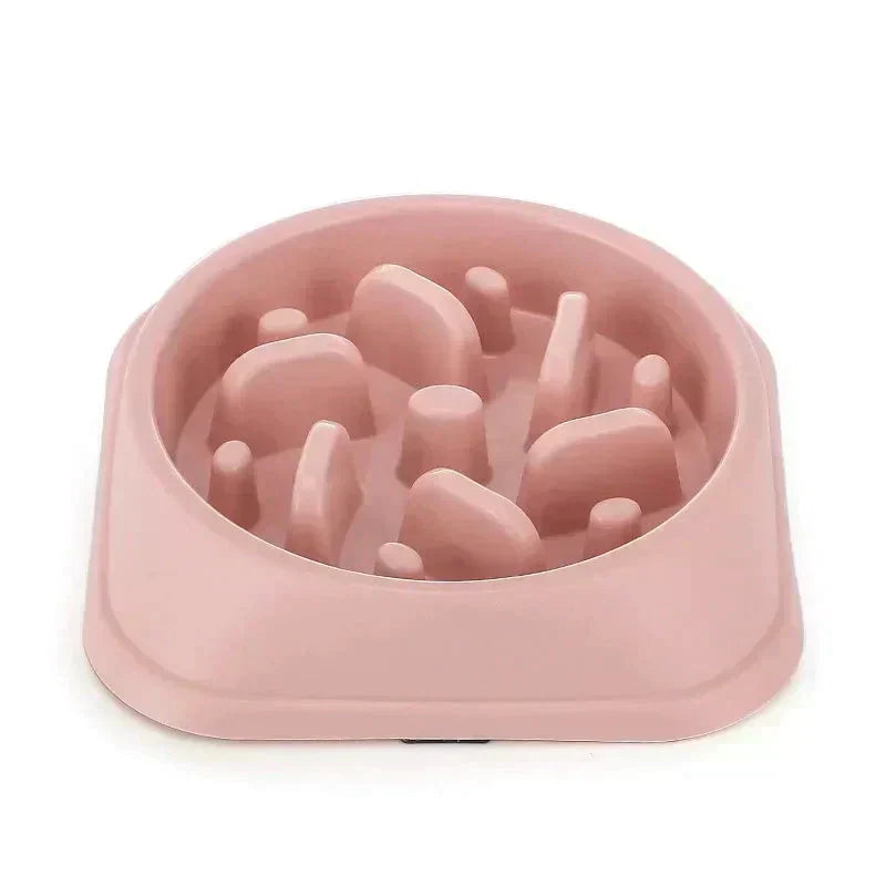 Pet Slow Feeder Bowl Petritzy